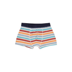 Set x3 Bóxer Estampado Dinos Gris