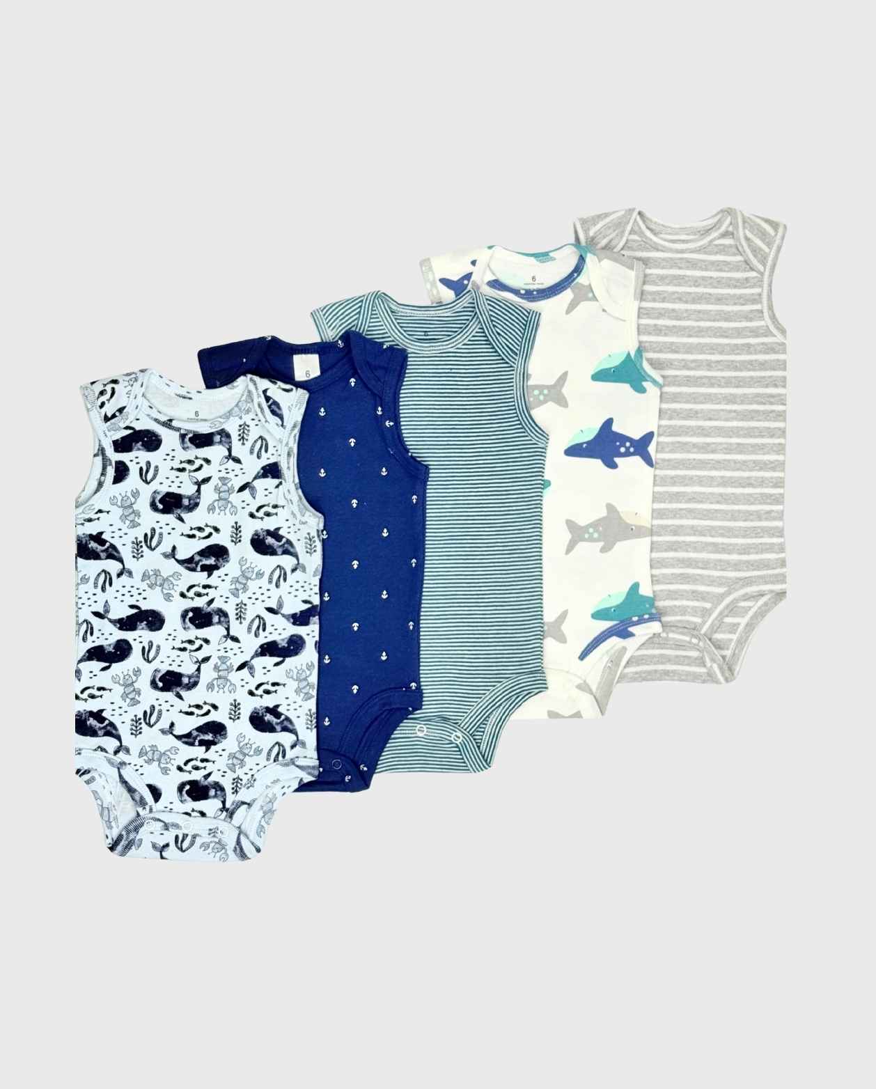Set 5 Bodys Estampado Esqueleto Animales del Mar