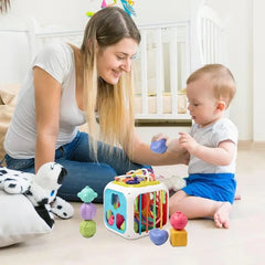 Cubo Shape Sorting Didáctico