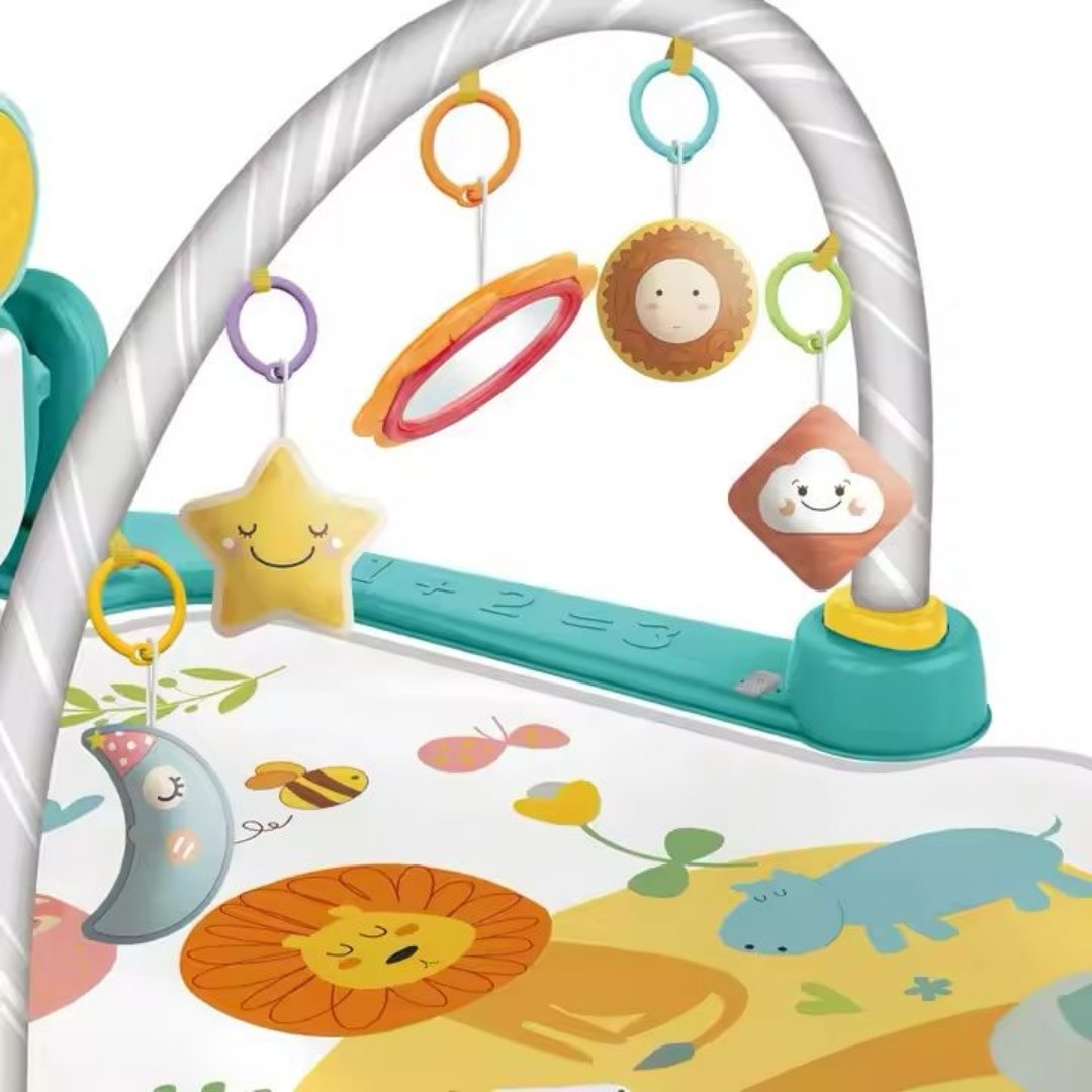 Gimnasio Piano Radio Selva Diseño