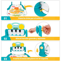 Gimnasio Piano Radio Selva