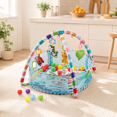 Gimnasio Circular Pelotas Azul