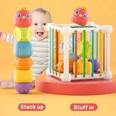 Cubo Didáctico Sensorial Con Figuras De Pájaro