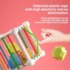 Cubo Didáctico Sensorial Con Figuras De Pájaro