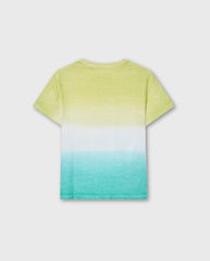 Camiseta Degrade Surf Losan Color