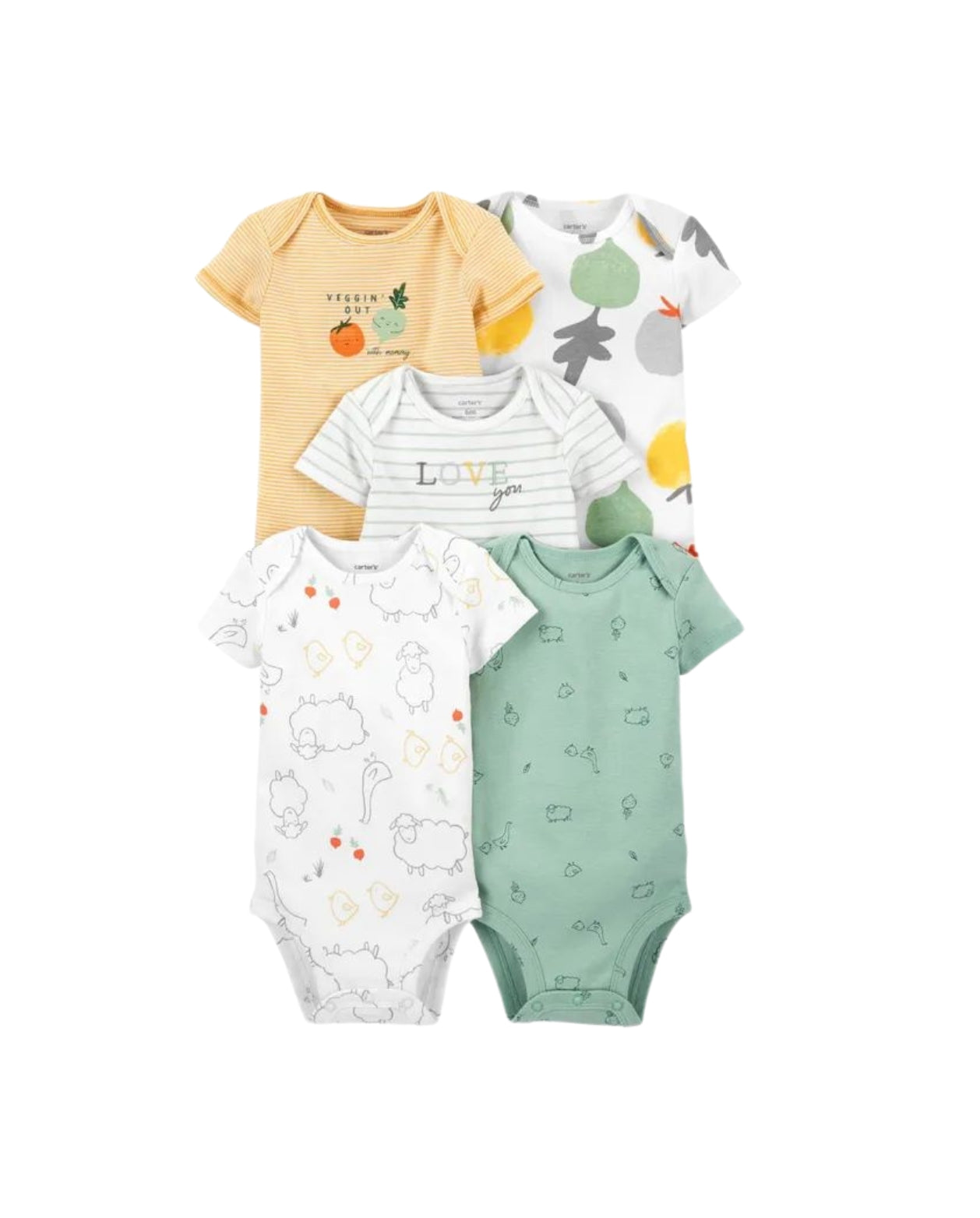 Set 5 Bodys Estampado Vegetales Rayas