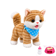 Juguete Interactivo Pet con Correa Gato