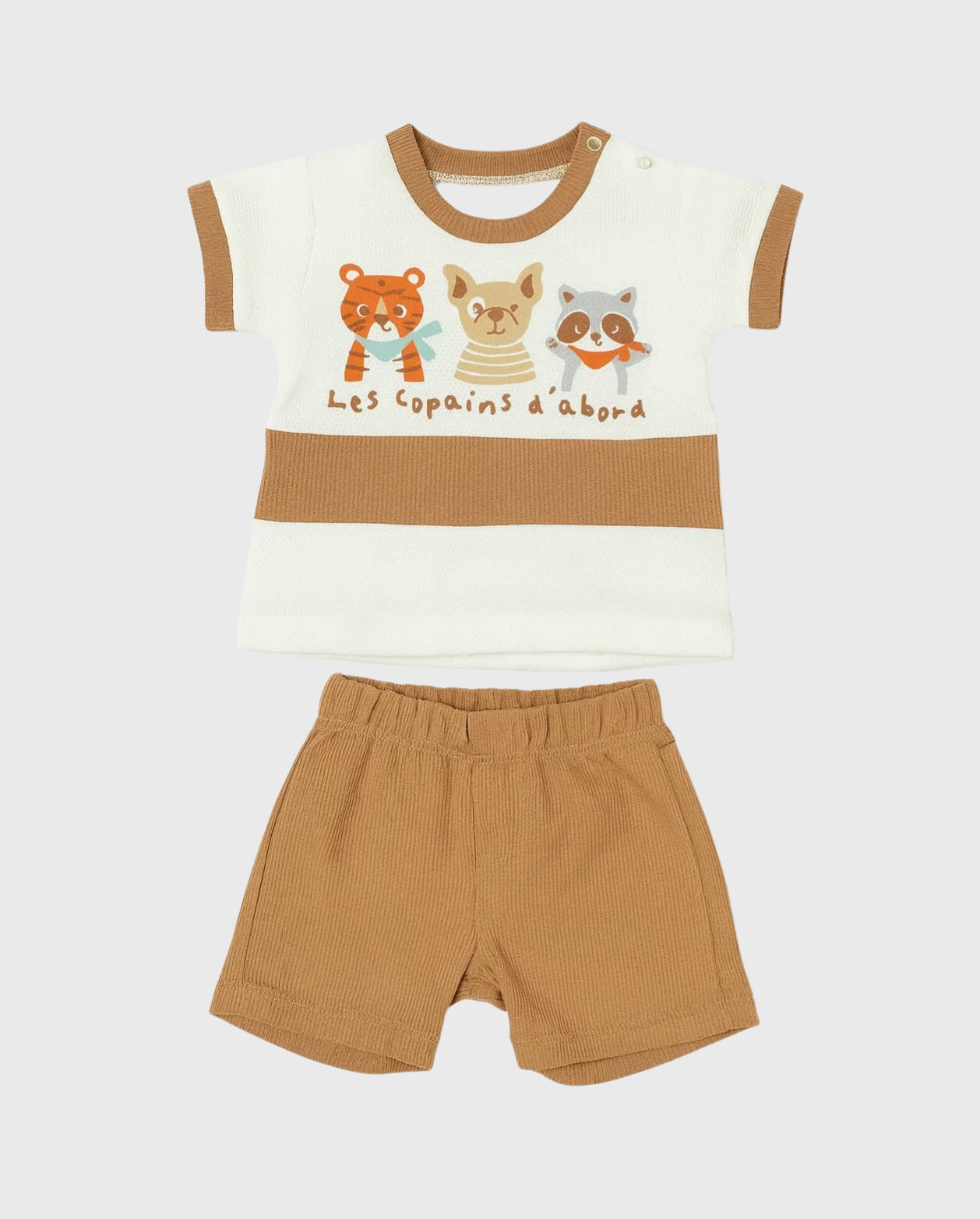 Conjunto Bermuda Galleta Animales Mapache cafe