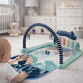 Gimnasio de Estimulación Zorro Navy