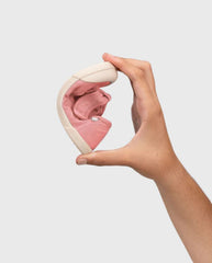 Tenis Baleta Deportiva Lona Pepito Nuevo Rosa Igor Suela