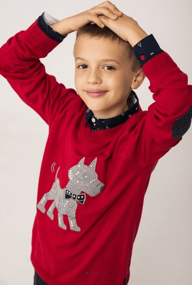 Saco Jersey Perrito Robot BOBOLI