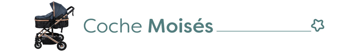 Coches Moisés para bebé
