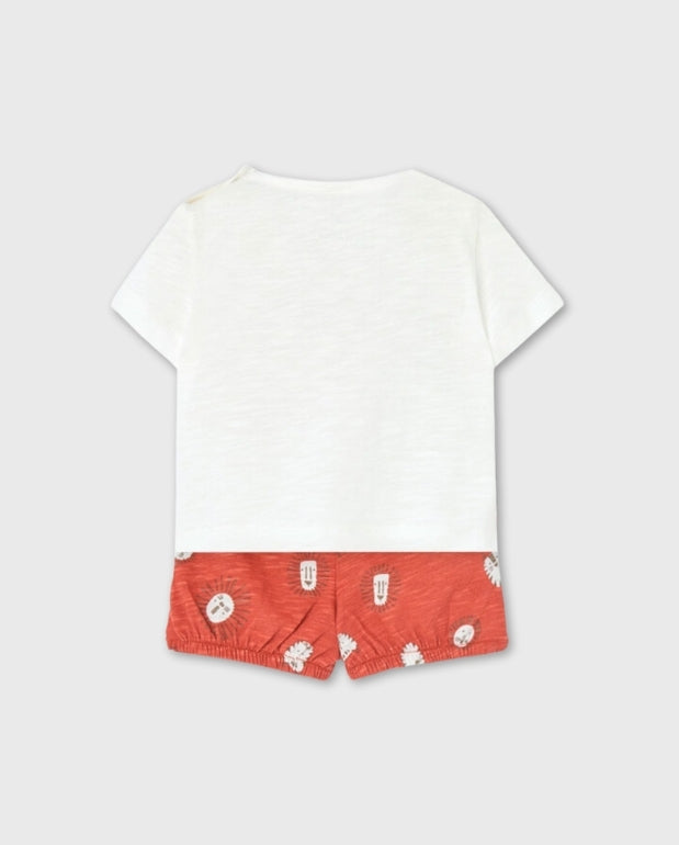 Conjunto Bermuda Leon Terracota Boboli Niño