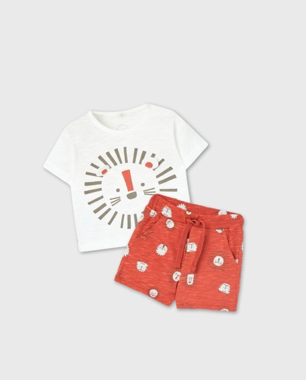 Conjunto Bermuda Leon Terracota Boboli Set