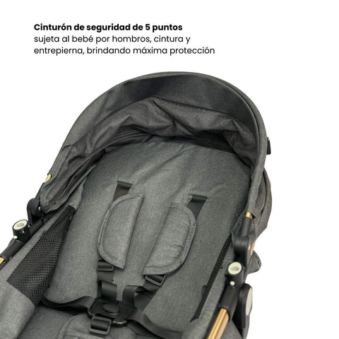 Coche Moisés Small Gris Maxibaby Cinturón