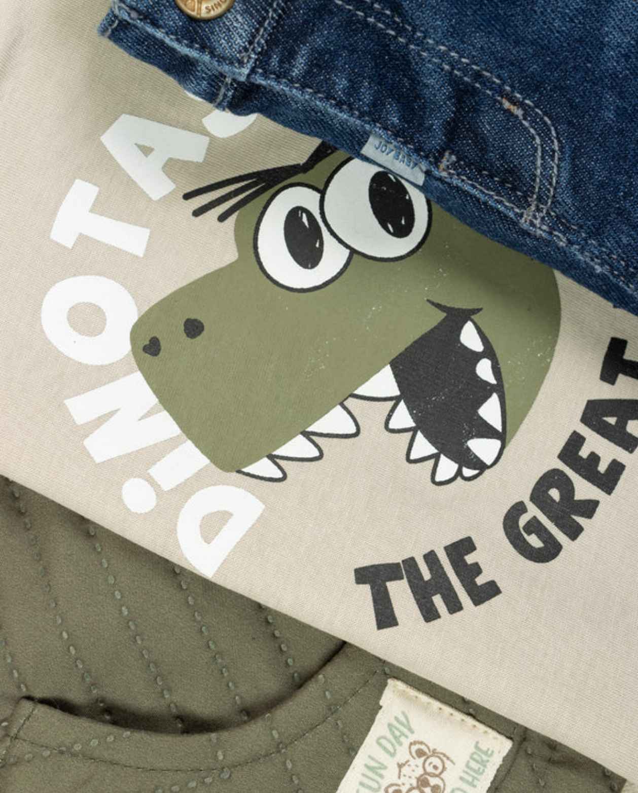 Conjunto 3 Piezas Dinosaurio Chaleco Textura