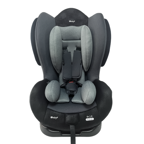 Silla de Carro Terra Gris Claro Ebaby®