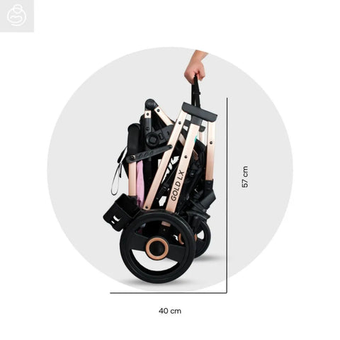 Coche Moises Gold LX Negro Bebesit