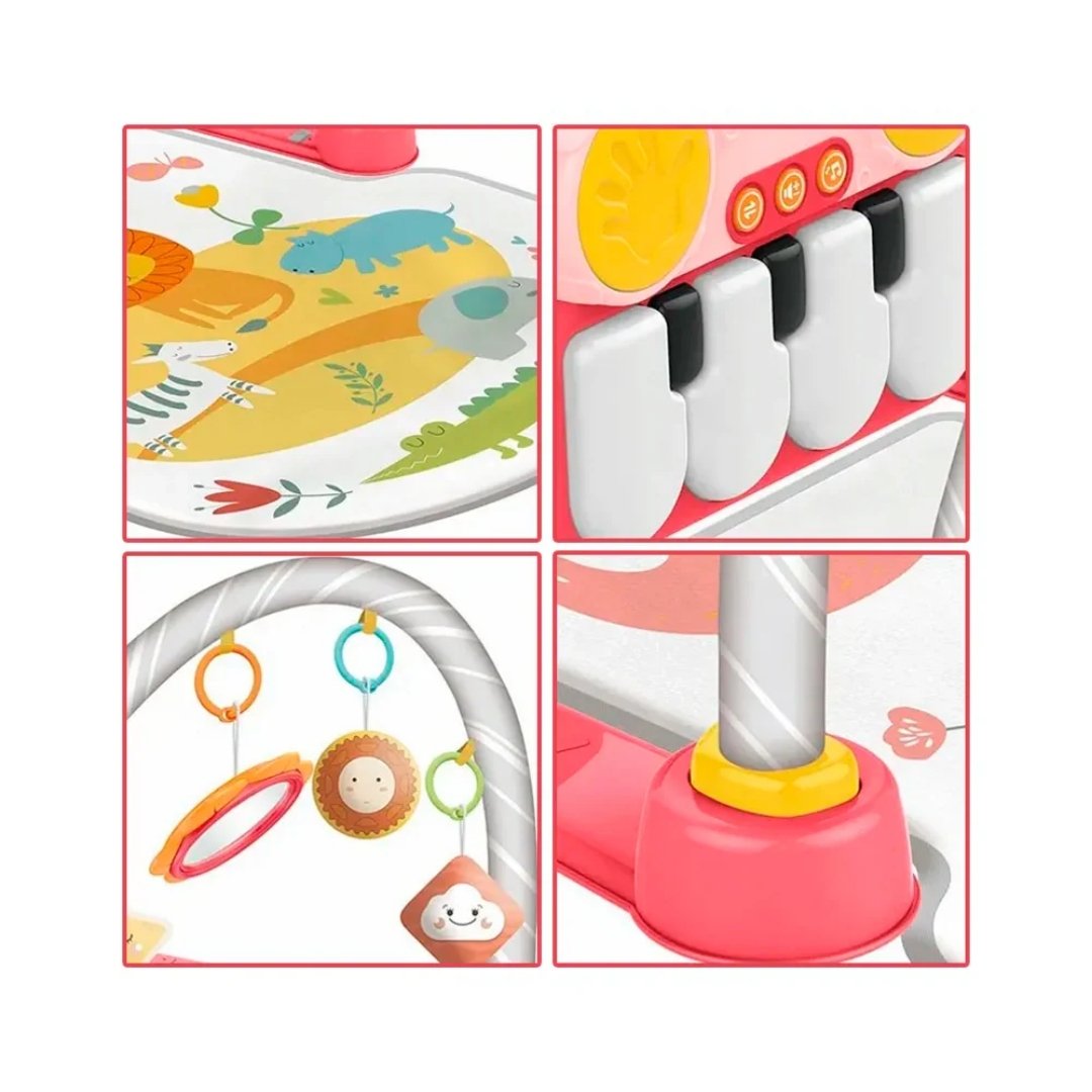 Gimnasio Piano Radio Selva Detalles