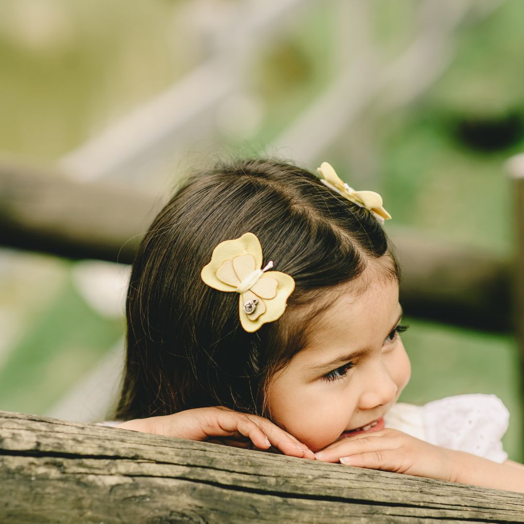 Set Pinzas Clip  Papallona Mariposas Miss Be