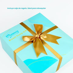 Set de Extractor Manual de Leche Momeasy Caja Regalo