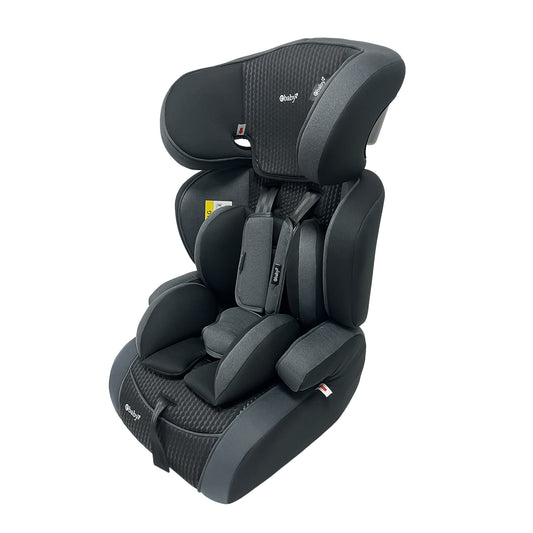 Silla de Carro Sage Gris Oscuro Ebaby