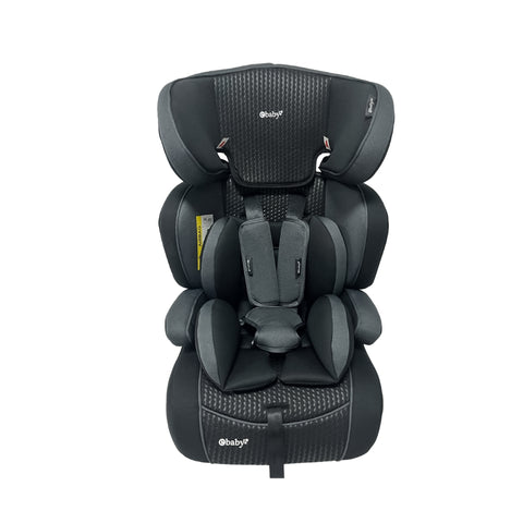 Silla de Carro Sage Gris Oscuro Ebaby frontal