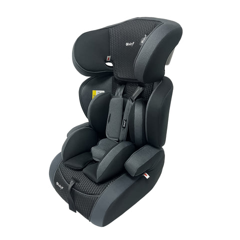 Silla de Carro Sage Gris Oscuro Ebaby