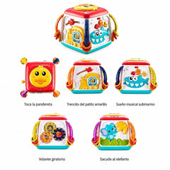 Juguete Cubo de Estimulación Pato