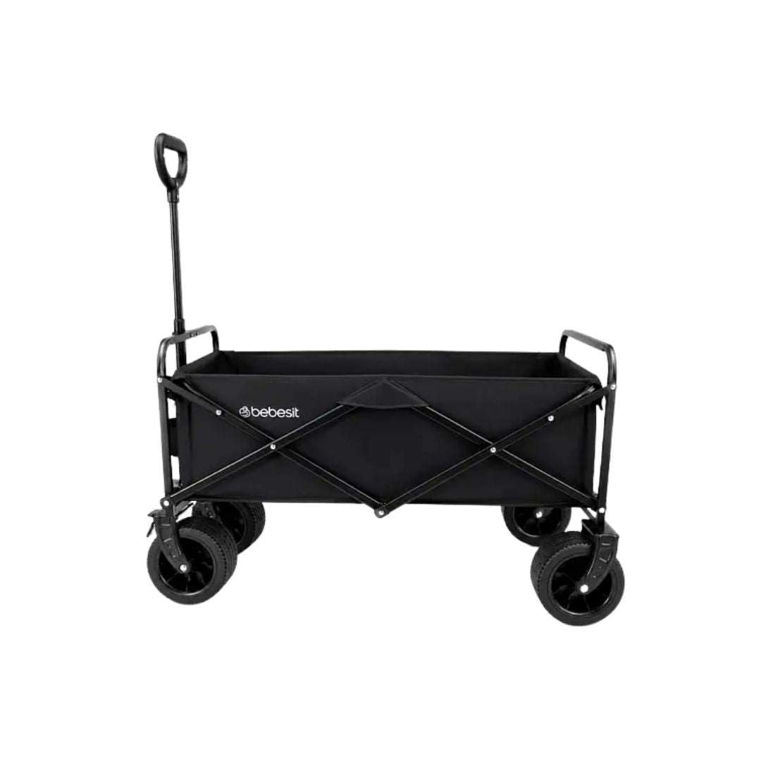 Coche Gemelar Wagon Move Bebesit