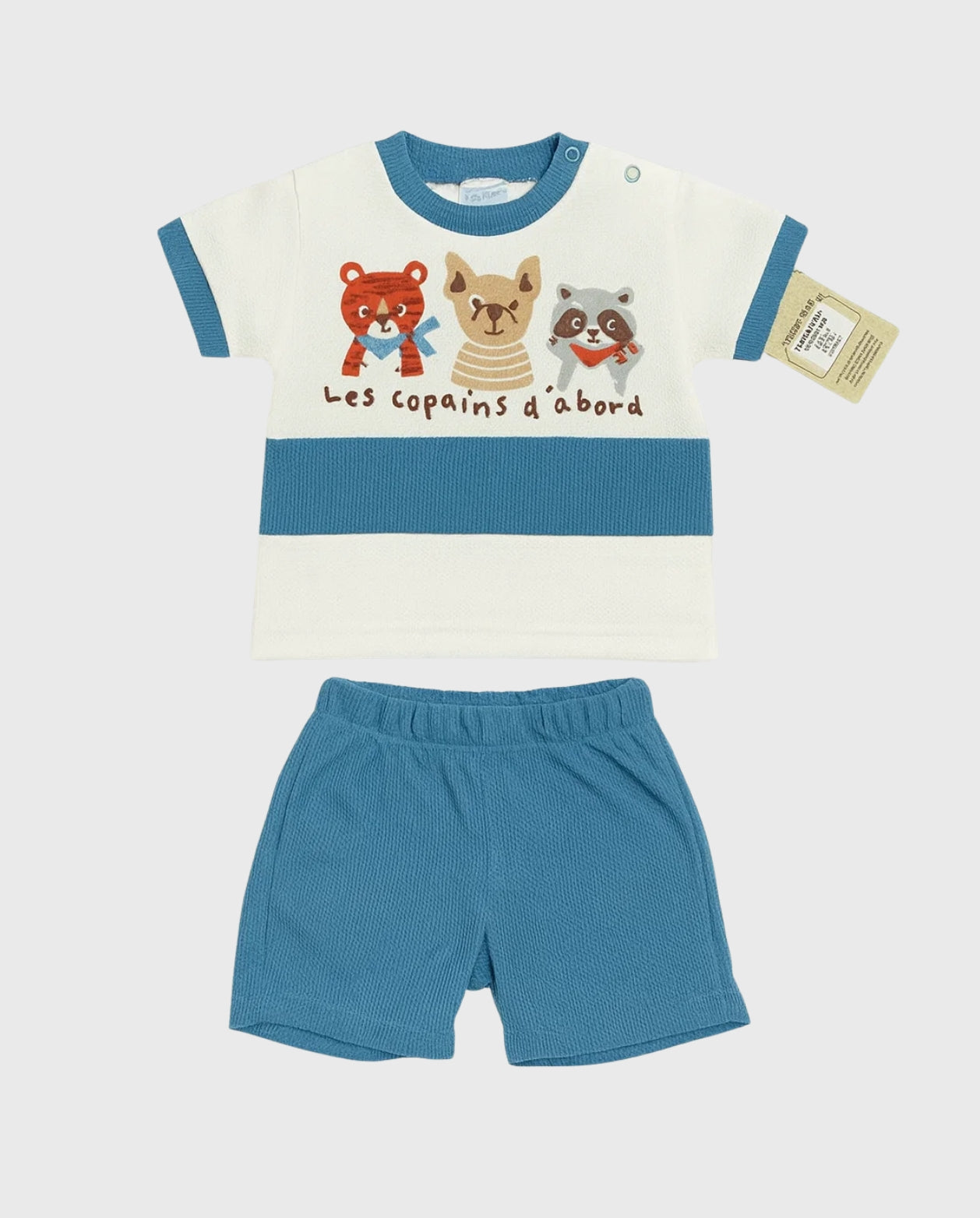 Conjunto Bermuda Galleta Animales Mapache azul