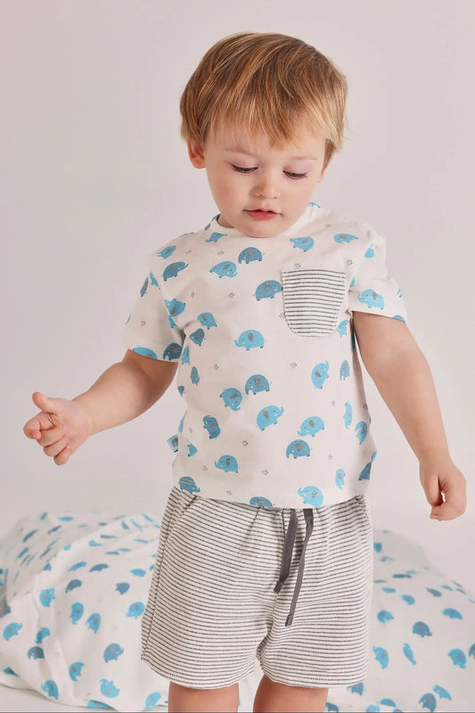Conjunto Bermuda Rayas Elefante Boboli modelo