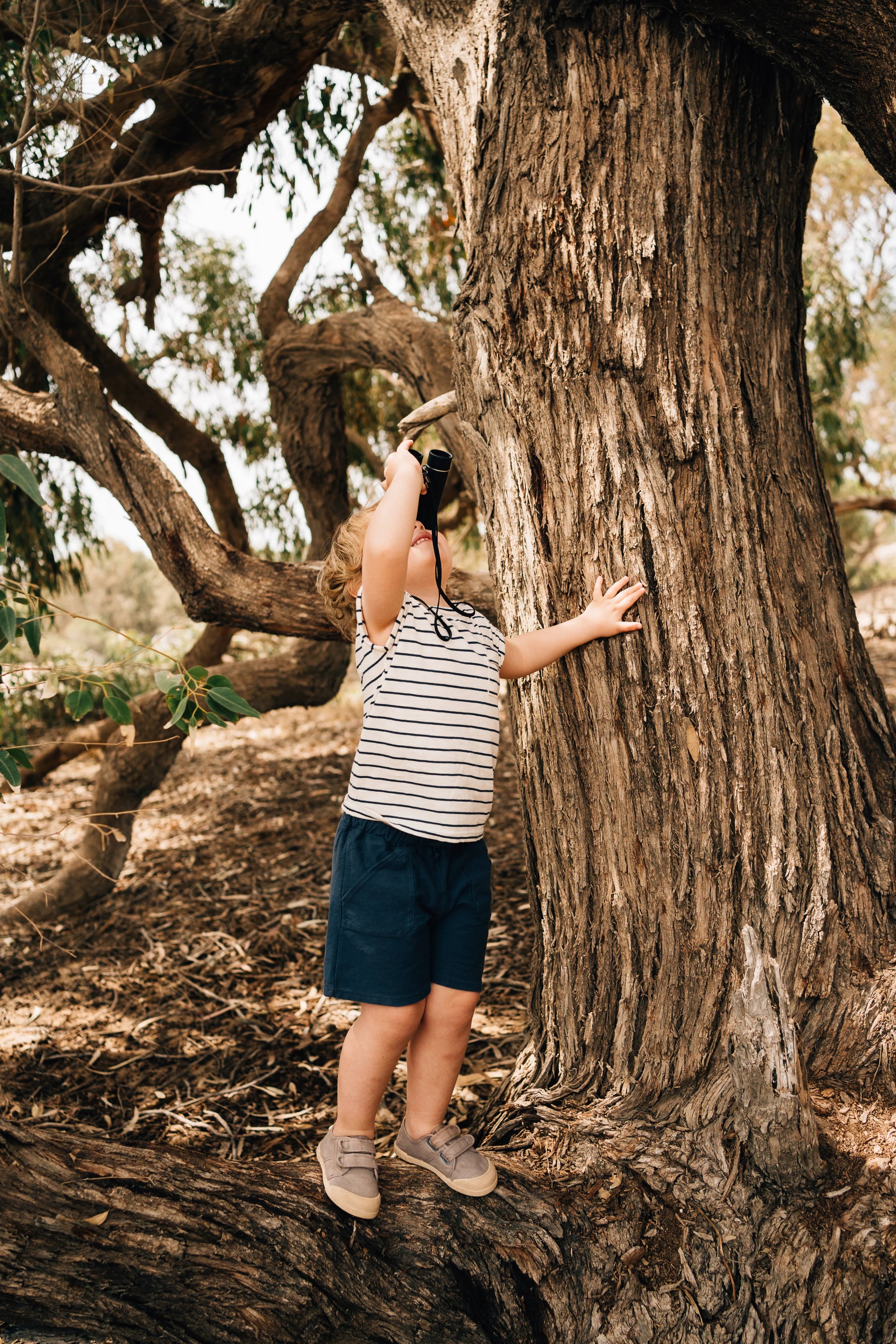 Tenis Lona V Velcro Cacao Igor Modelo