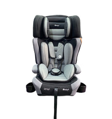 Silla De Carro Tatu Ebaby Gris Claro