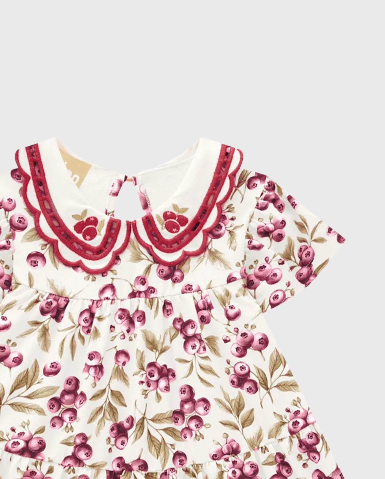 Vestido Cuello Arandanos Milon Detalle