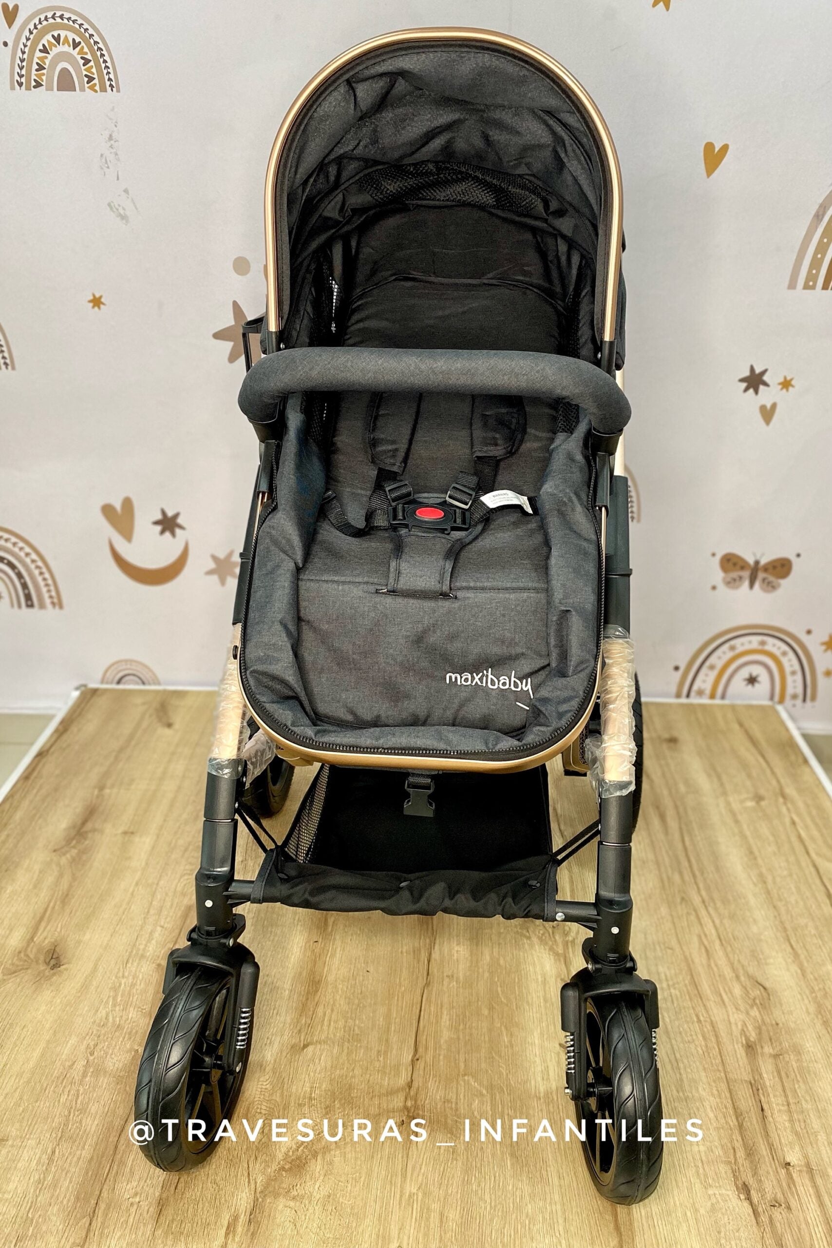 Coche Moisés Milano Gris Oscuro Maxibaby Frente